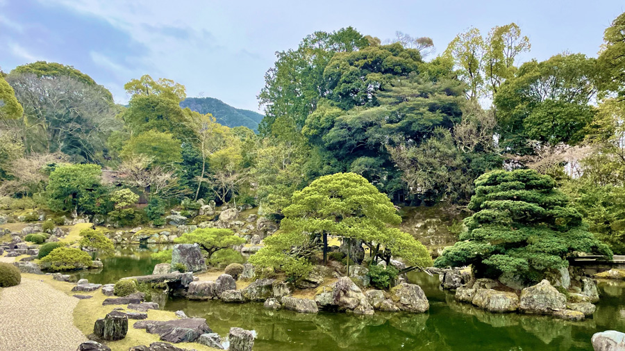 京都伏見醍醐エリア