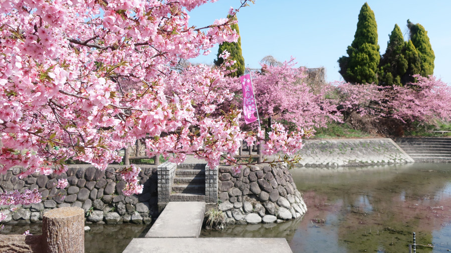 京都伏見淀エリア