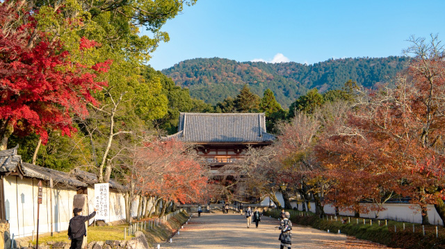 京都伏見醍醐エリア