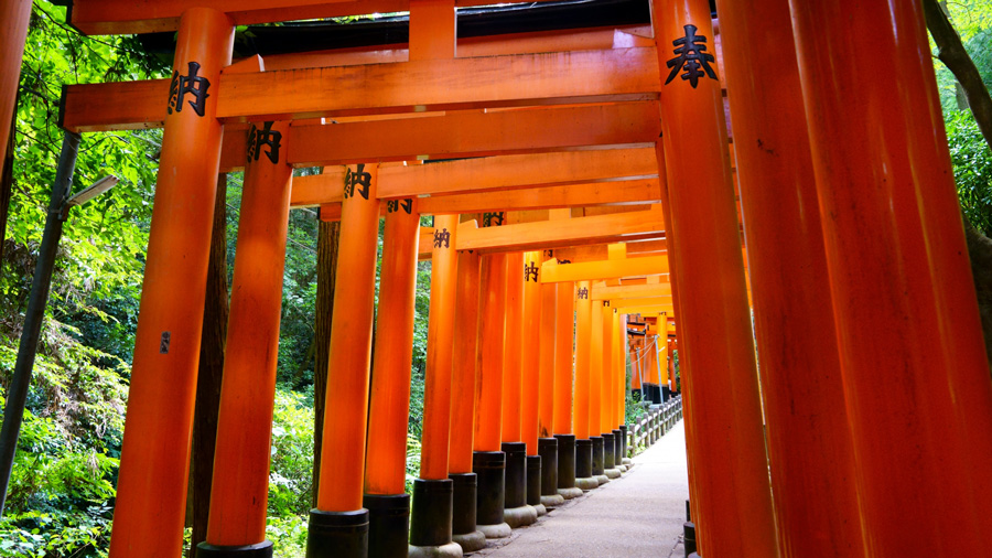 京都伏見深草エリア