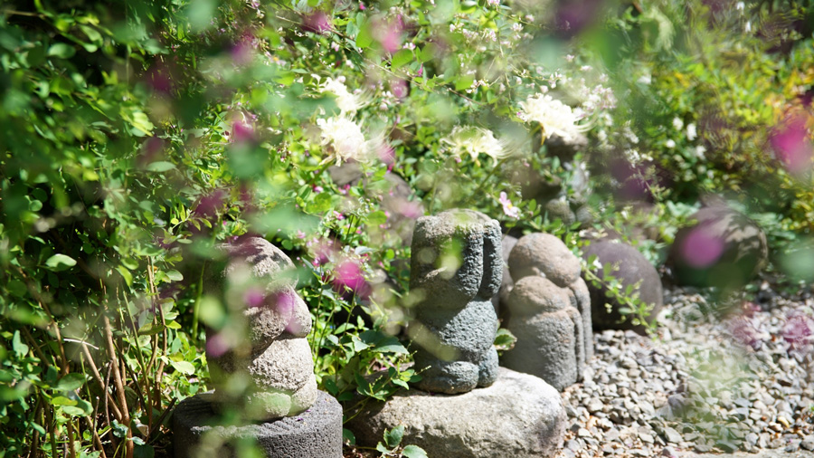 京都伏見丹波橋エリア