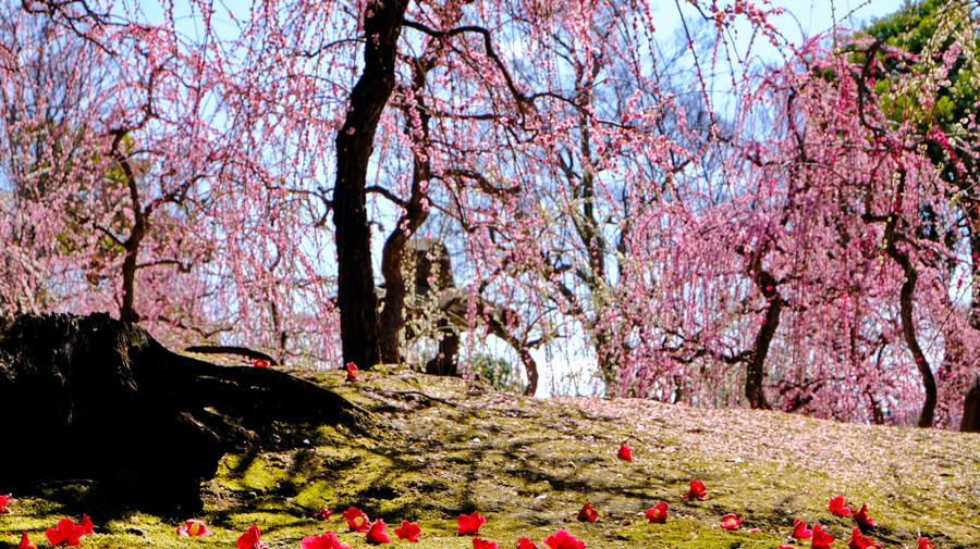 京都伏見鳥羽エリア